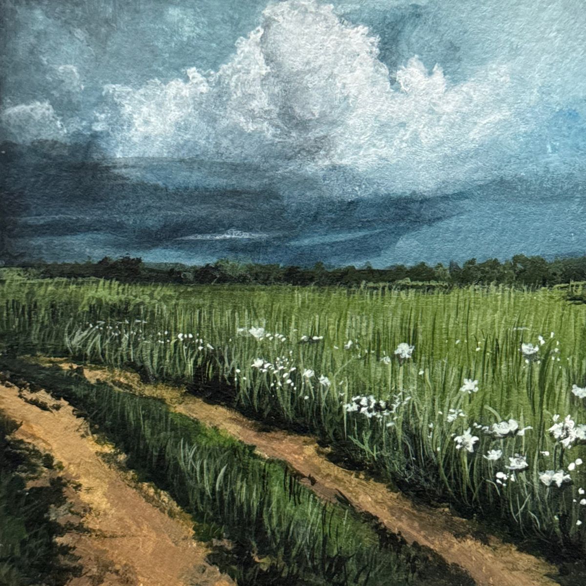 calm before the storm | 4x4"