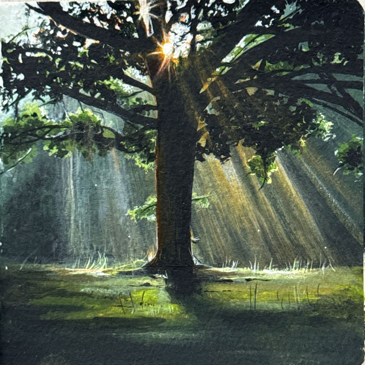 a quiet return | 4x4"